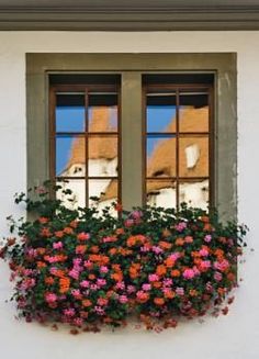 Find the Right Type of Windows